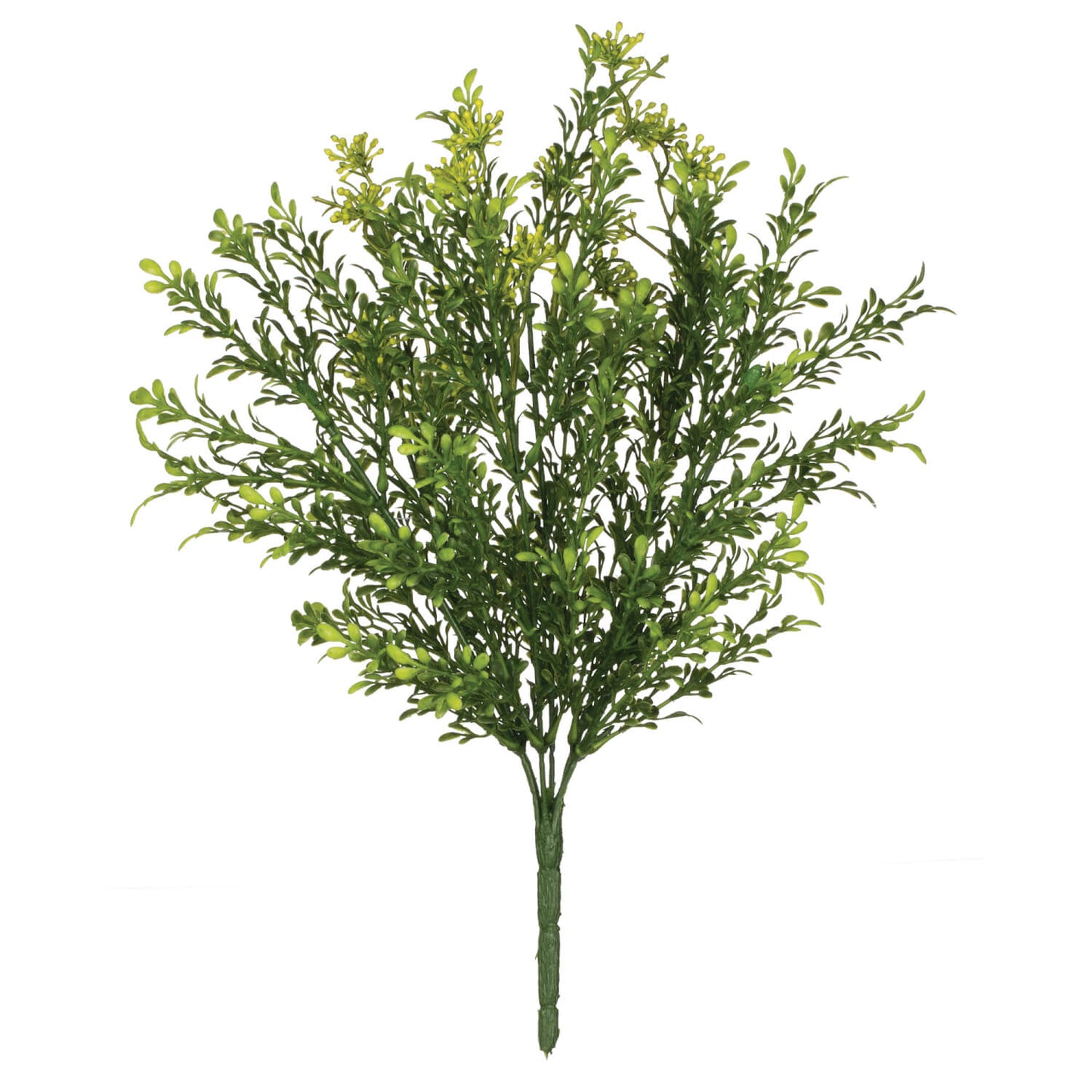 Boxwood Pick