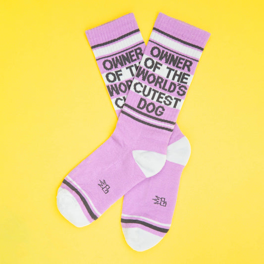 Owner Of The World's Cutest Dog Crew Socks