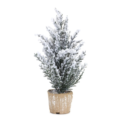 Potted Snowy Pine Tree