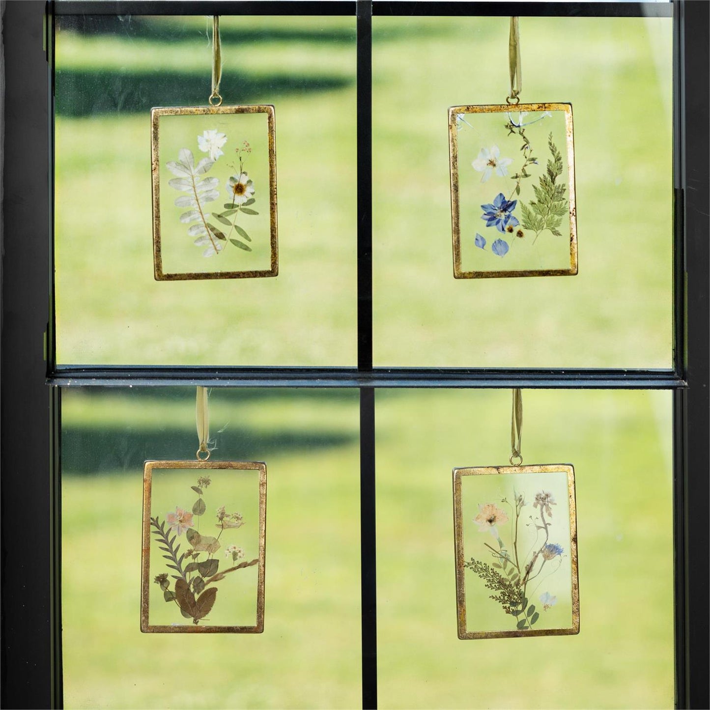 Pressed Flower Wall Art