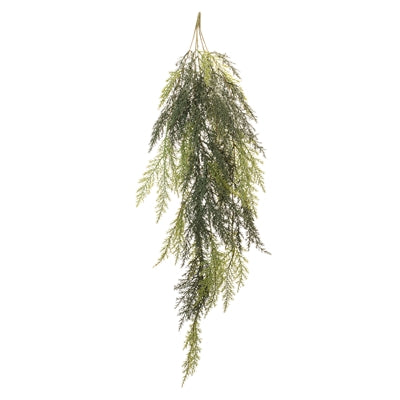 Cedar Hanging Vine