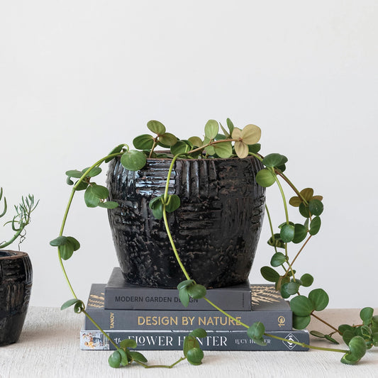 Embossed Distressed Black Terra-cotta Planter