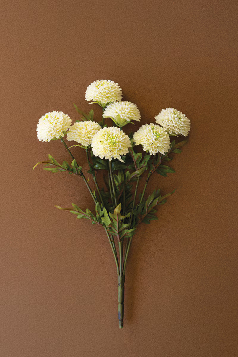 White Dahlias