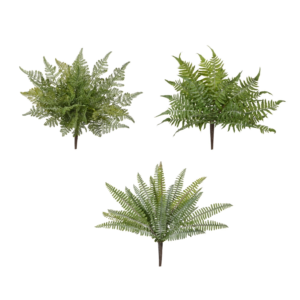 16" Fern Bush