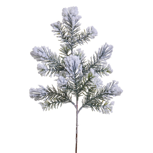 Snowy White Pine Spray