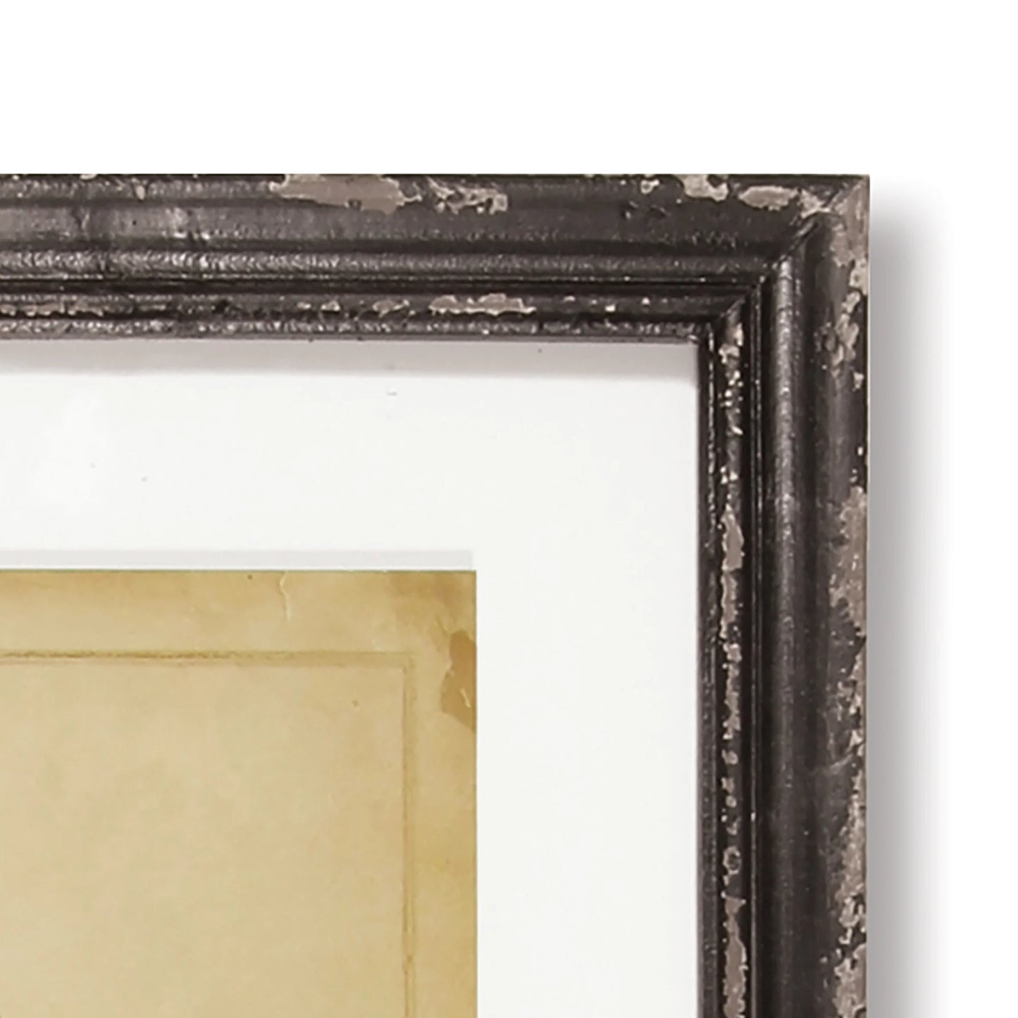 Vintage Fern Print #24404