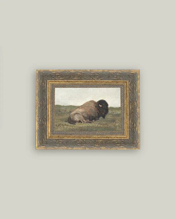 Resting Bison Wall Art