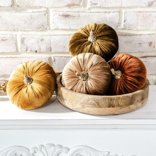 Velvet Pumpkins