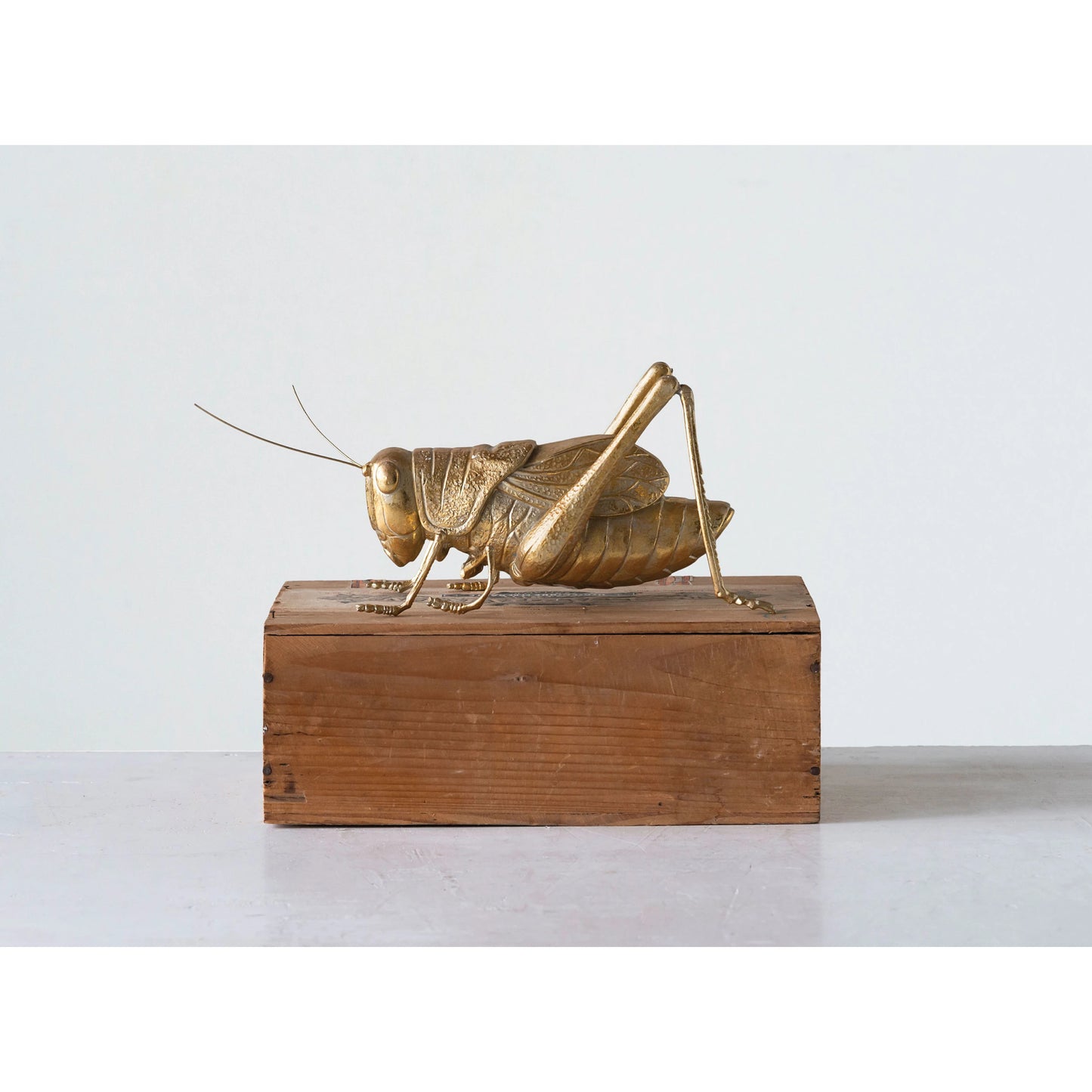 Resin Cricket
