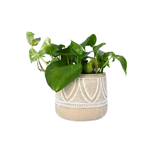 Embossed Terracotta Planter