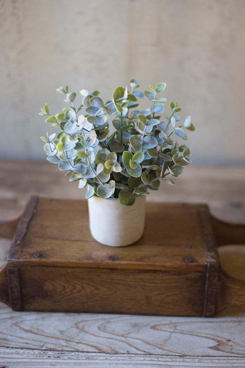 faux sage plant in pot Artificial Sage Boxwood in Concrete Pot