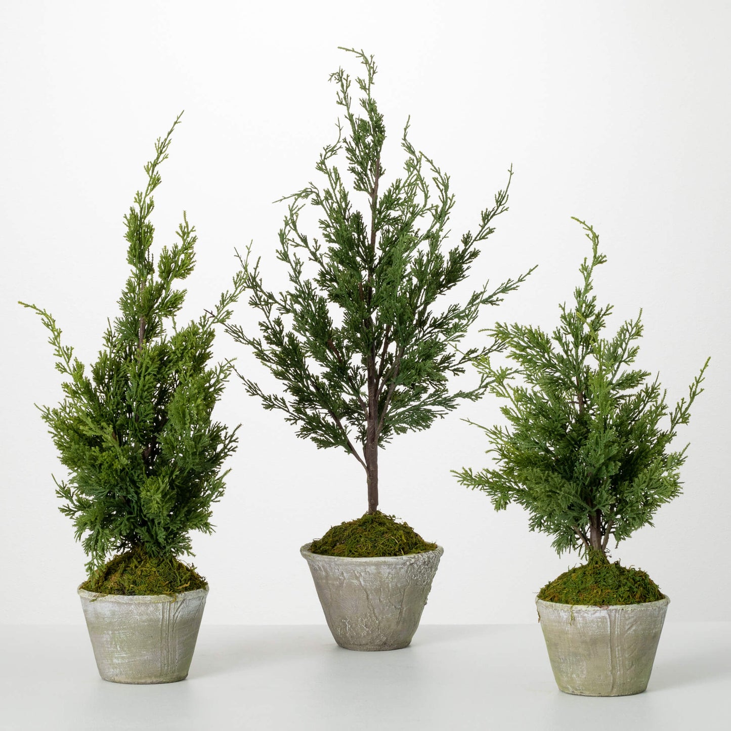 Faux Dwarf Cedar Tree