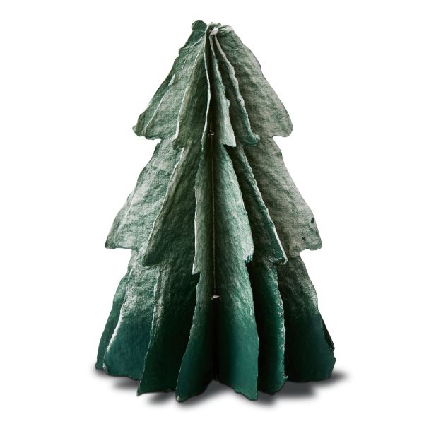 Spruce Hombre Paper Tree
