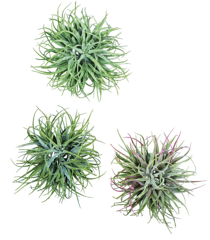 Air Grass Orb