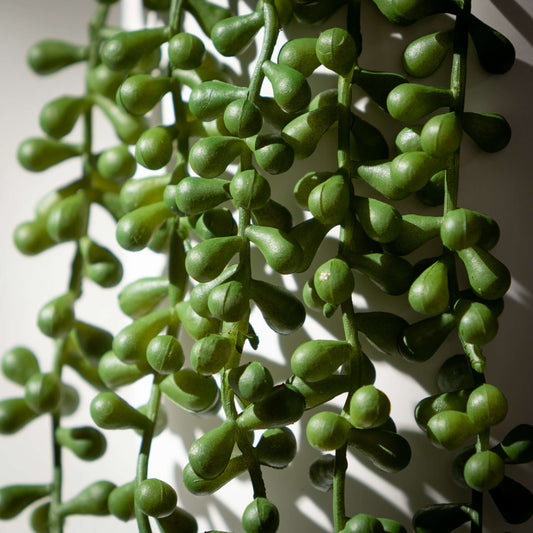 Hanging Succulent Spray