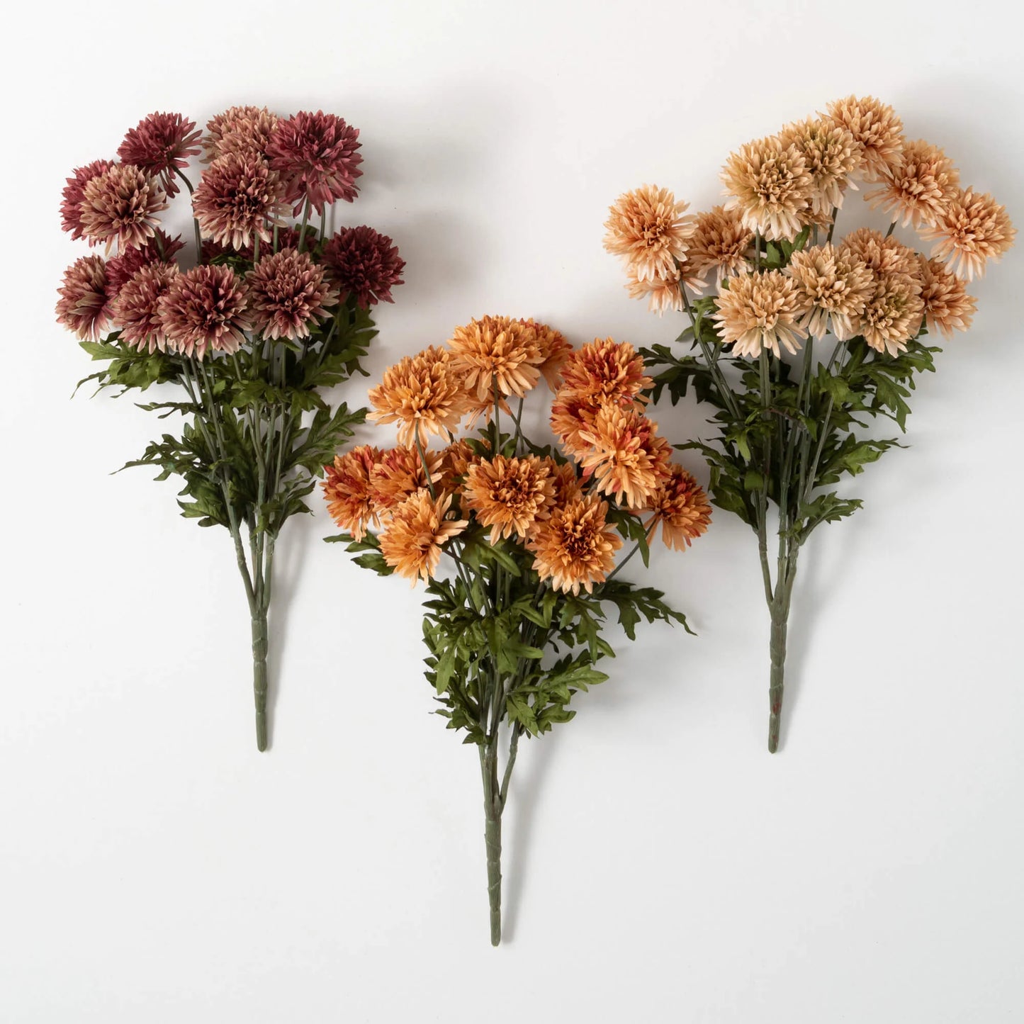 Straw Flower Busy Trio