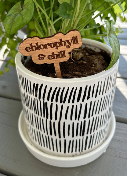 Thrives on Neglect Plant Stake