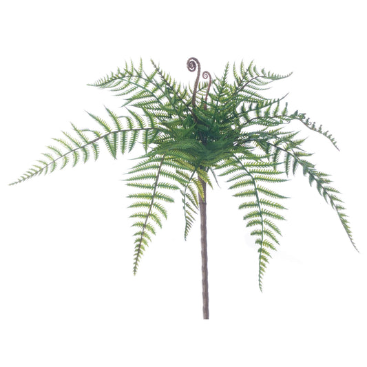 Leather Leaf Fern Pick