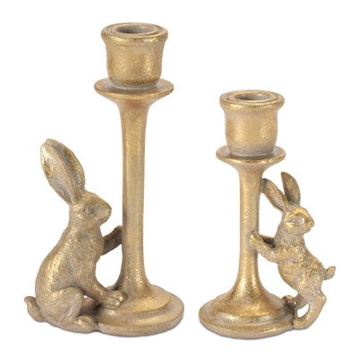 Rabbit Taper Holders