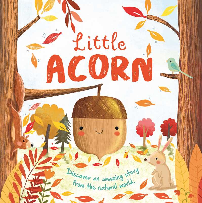 Little Acorn Board Book