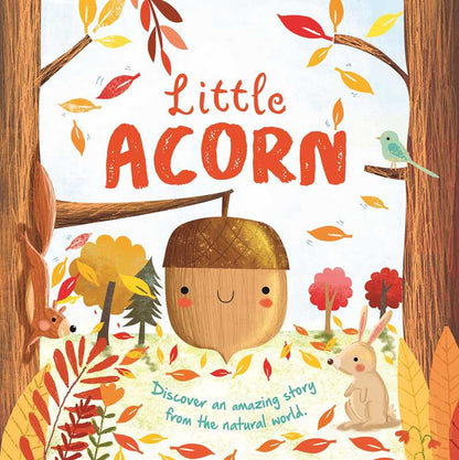 Little Acorn Board Book