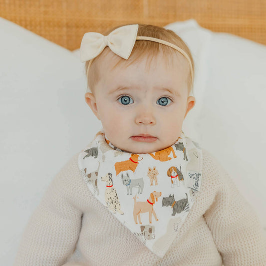 Rufus Bandana Bibs