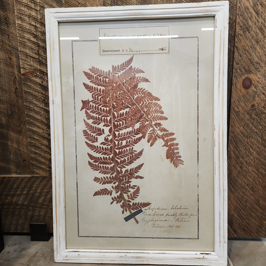 Polystichum Wood Framed Wall Decor