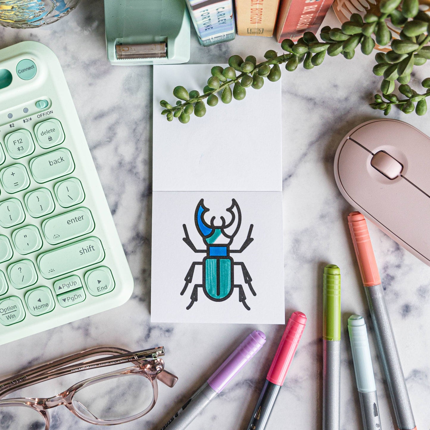 Birds Bugs and Botany Mini Coloring Book