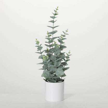 Faux Potted Eucalyptus Bush