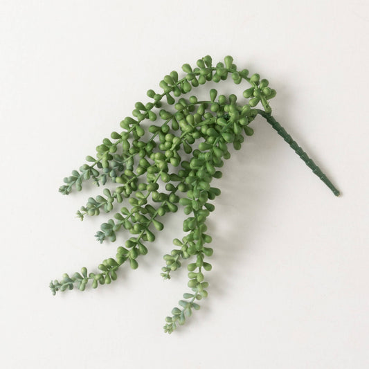 String of Pearl Pick