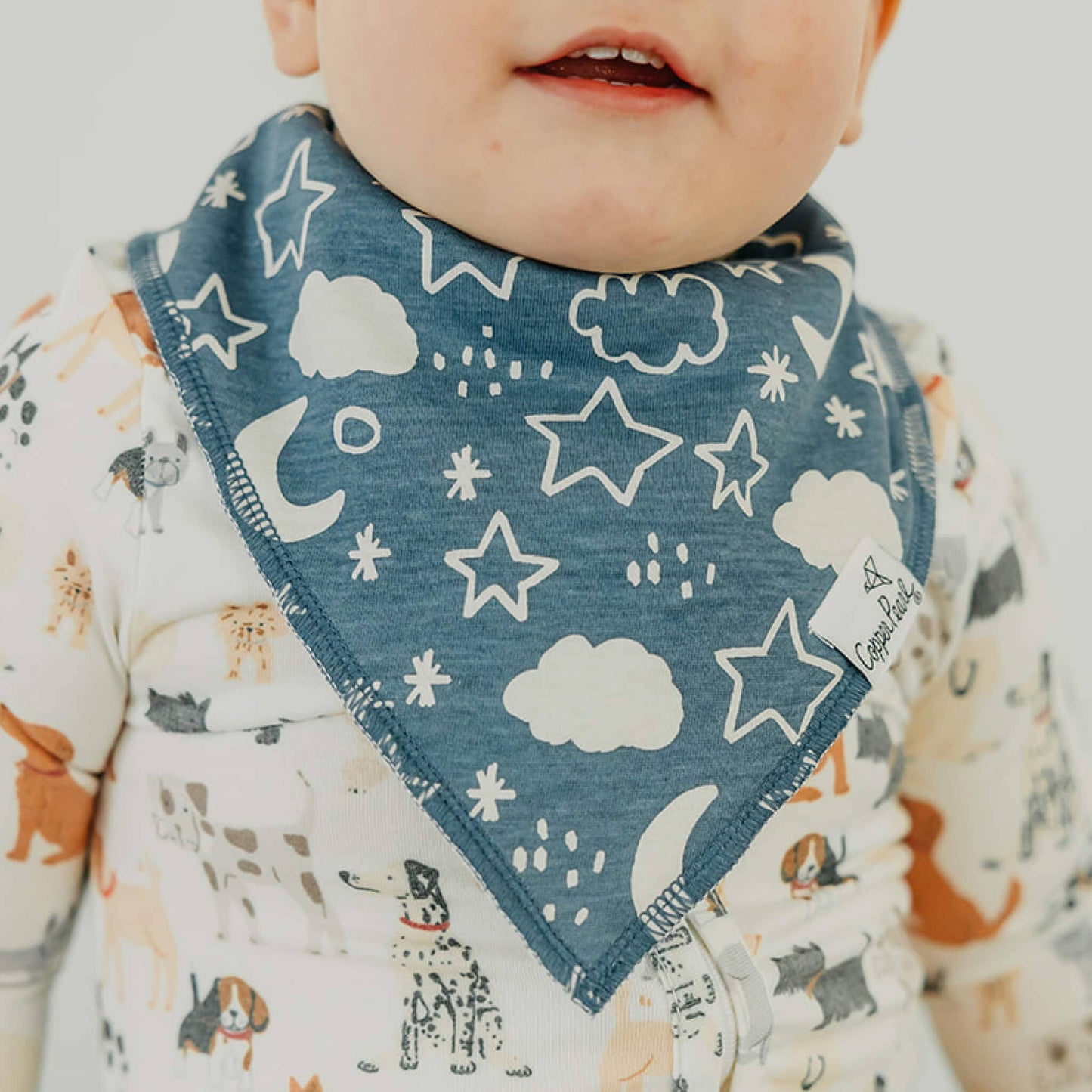 Rufus Bandana Bibs