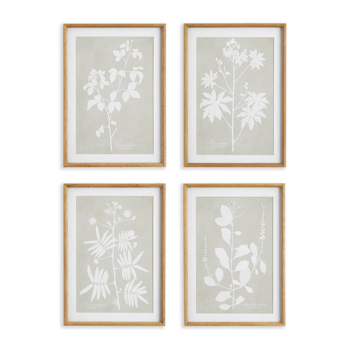 Foliage Study Wall Art