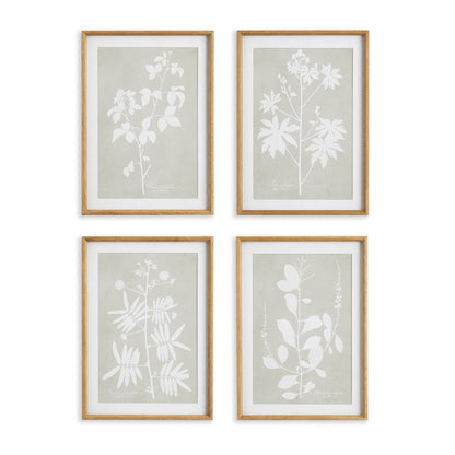 Foliage Study Wall Art