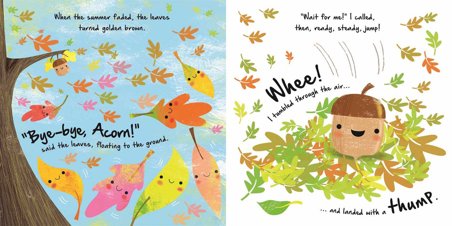 Little Acorn Board Book