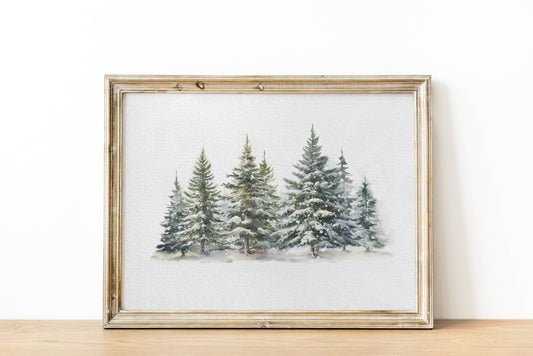 Evergreen Forest Art Print