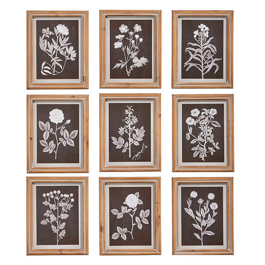 Botanical Floral Framed Wall Art