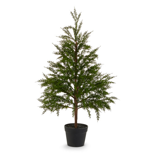36" Potted Cedar Tree