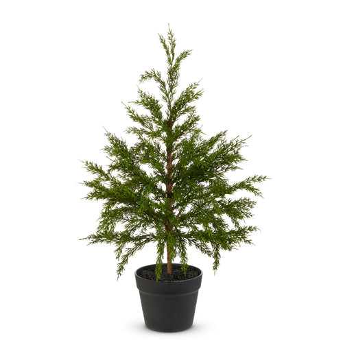 27" Potted Cedar Tree
