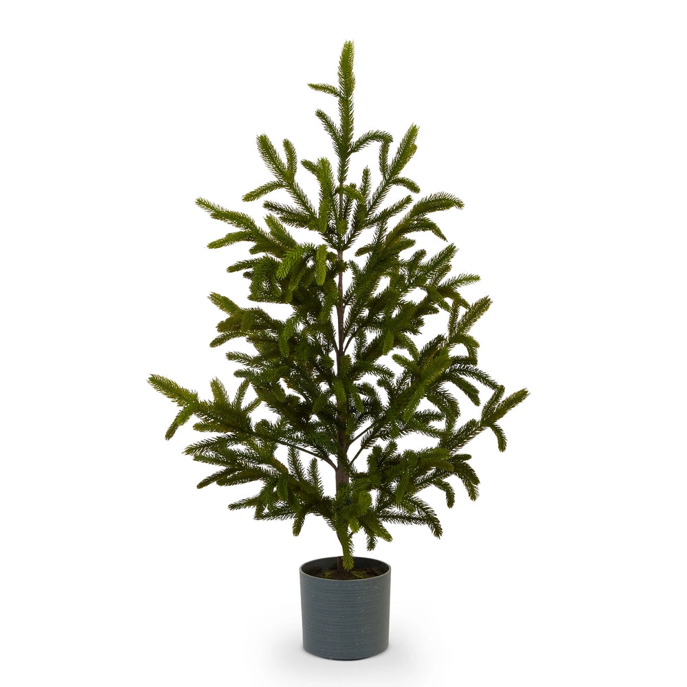 47" Potted Noble Fir Tree