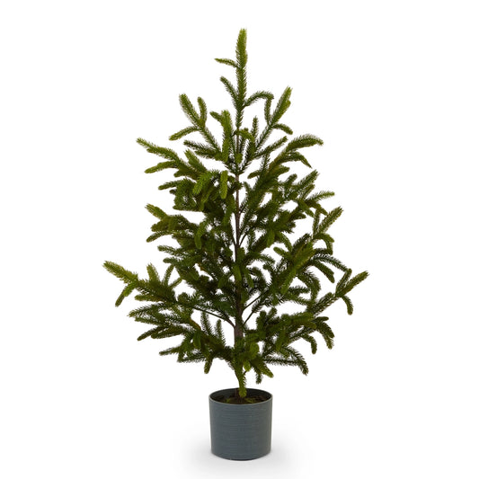 47" Potted Noble Fir Tree