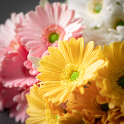 Daisy Bouquet