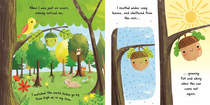 Little Acorn Board Book