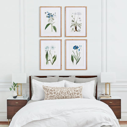 Mountain Botanical Prints