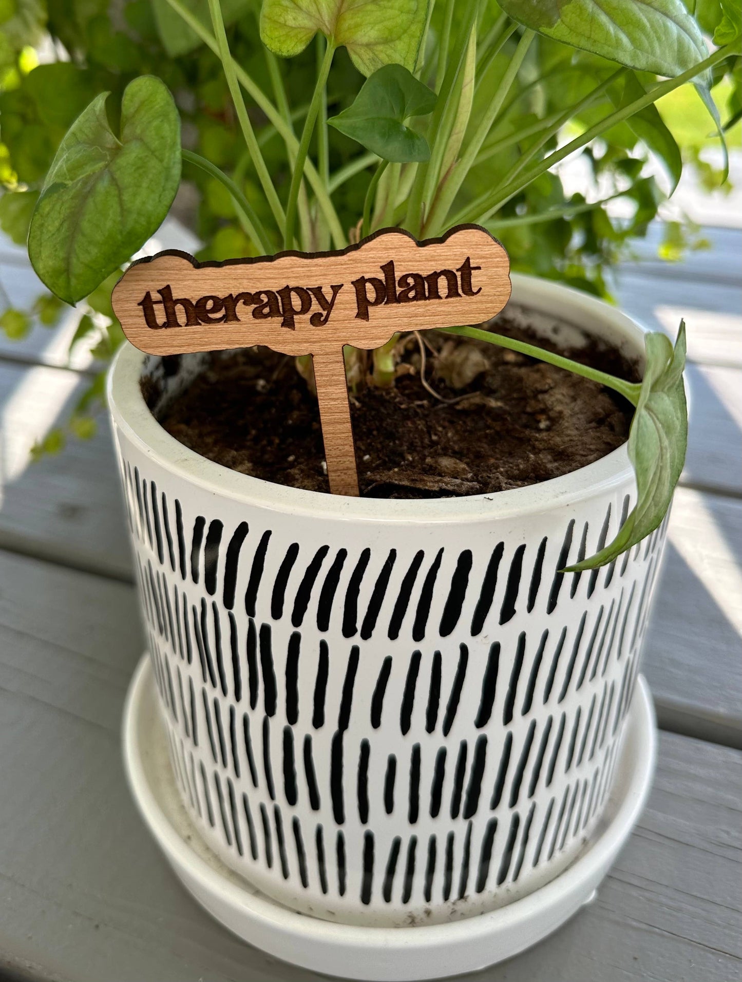 Thrives on Neglect Plant Stake