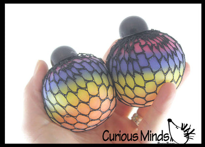 Rainbow Mesh Doh Filled Squeeze Balls