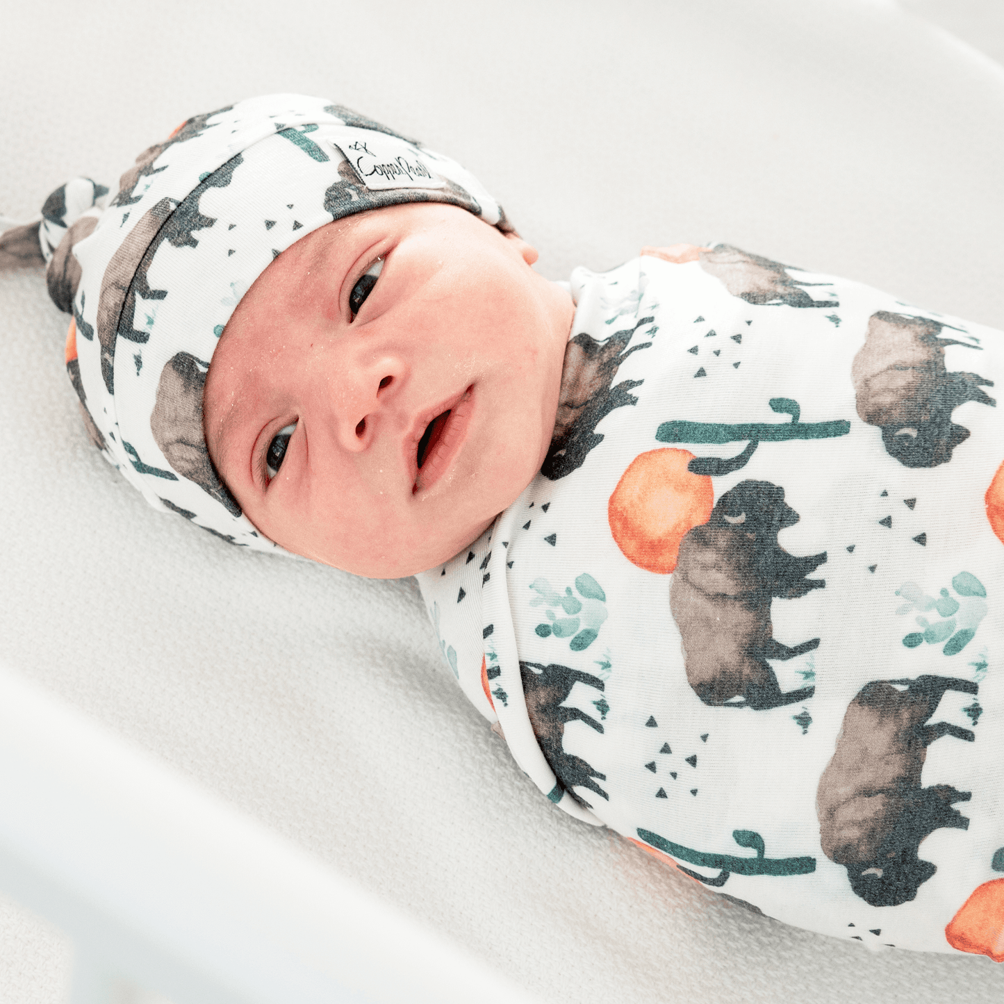 Bison Swaddle Blanket