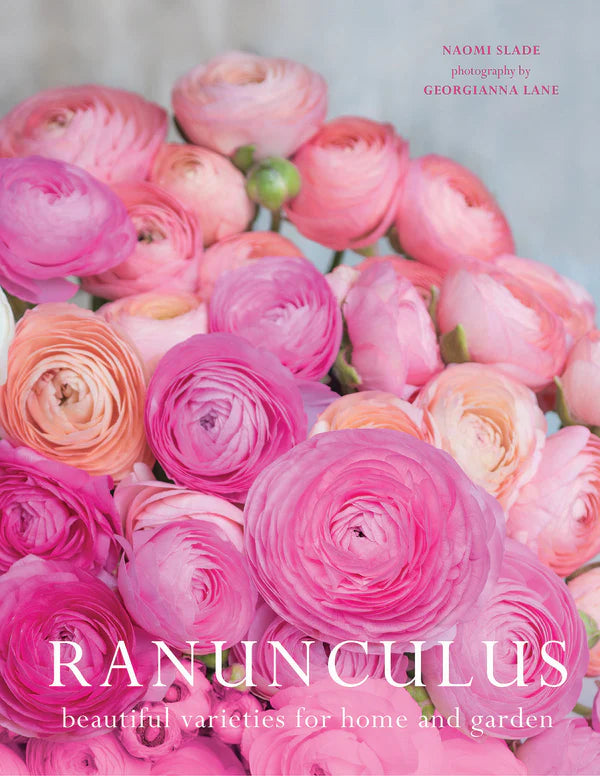 Ranunculus