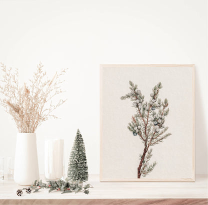 Winter Greenery Vintage Art Print