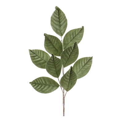 Magnolia Leaf Spray