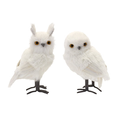White Owls